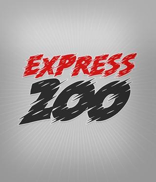 Express 200